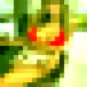 Coralie, 19 ans, disponible à Saint-Orens-de-Gameville pour un plan cul