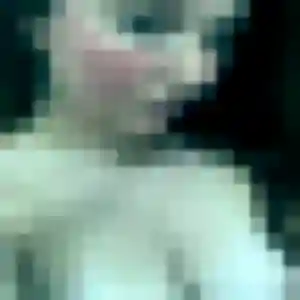Clarisse, fille de 30 ans cherche plan cul à Saint-Pierre