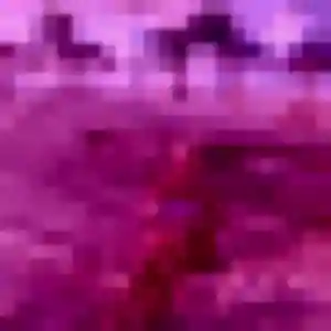 Photo perso de Violette, 24 ans à Saint-Pierre-d'Eyraud - rencontre coquine