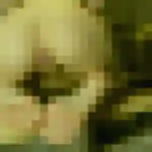 Photo privée de Elena, 31 ans à Saint-Pierre-de-Lages - plan discret