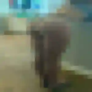 Justine, fille de 19 ans cherche plan cul à Saint-Pierre-du-Bosguérard