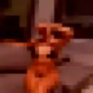 Charmante Marine, 31 ans à Saint-Pourçain-sur-Sioule - la contacter