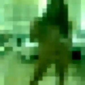 Capucine, 25 ans, dispo pour plan cul à Saint-Rémy-de-Provence