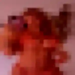 Perrine, 22 ans, connectée à Saint-Romain-en-Gier pour une rencontre coquine