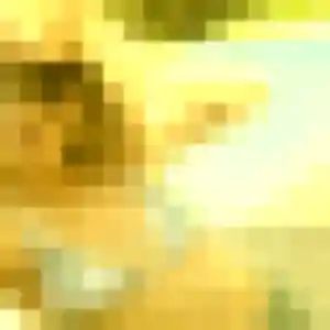 Felicite, 27 ans, disponible à Saint-Senier-sous-Avranches pour une rencontre coquine