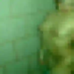 Morgane, 30 ans, en ligne à Saint-Seurin-sur-l'Isle pour une rencontre coquine