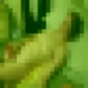 Profil de Alice à Saint-Suliac (33 ans) - plan cul anonyme