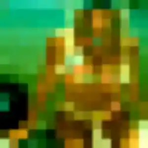 Sexy Morgane, 33 ans à Saint-Symphorien - découvrir son profil