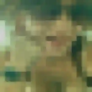 Photo perso de Victoire, 24 ans à Saint-Thégonnec Loc-Eguiner - rencontre coquine