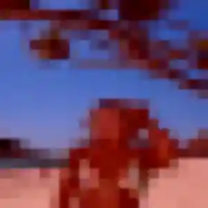 Clarisse, 32 ans, dispo pour plan cul à Saint-Vaast-la-Hougue