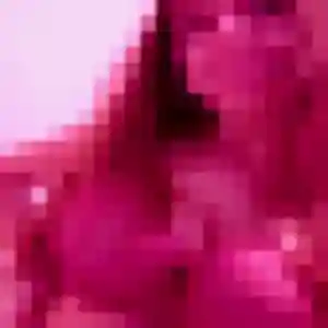 Photo perso de Clara, 20 ans à Sainte-Anne-sur-Vilaine - plan discret