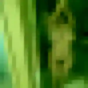 Fanny, 28 ans, veut un plan cul à Sainte-Consorce