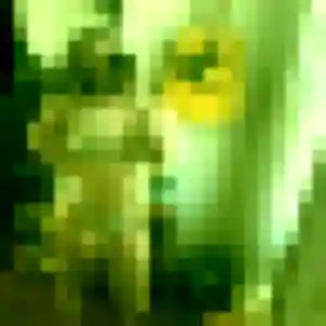 Lina, fille de 24 ans veut plan cul à Sainte-Foy-de-Peyrolières