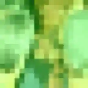 Rencontre Mia, 34 ans à Sainte-Foy-de-Peyrolières en t'inscrivant