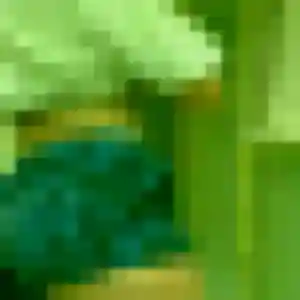 Profil de Anissa à Sainte-Gemmes-sur-Loire (27 ans) - plan cul sans inscription