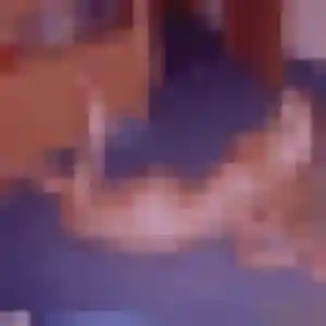 Giulia, 19 ans, cherche un plan cul à Sainte-Geneviève-des-Bois