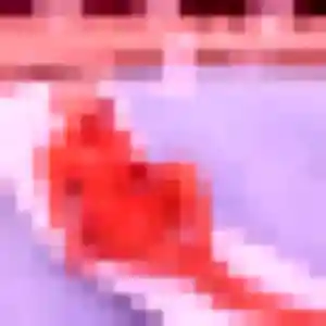 Photo sexy de Yara, 32 ans à Sainte-Luce-sur-Loire - rencontre coquine