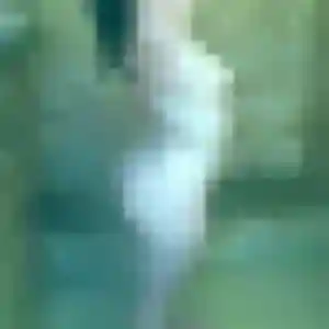 Roxane, 32 ans, en ligne à Sainte-Maure-de-Touraine pour une rencontre coquine