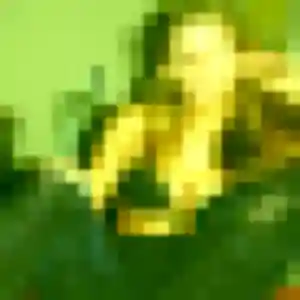 plan cul à Sainte-Menehould : profil de Eva, 26 ans - inscription gratuite