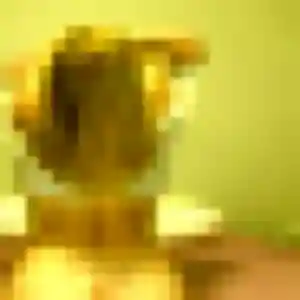 Photo de Naila à Salon-de-Provence (27 ans) - plan cul gratuit