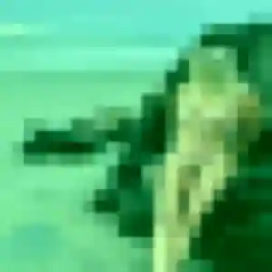 Photo privée de Pauline, 31 ans à Sambin - rencontre sans lendemain