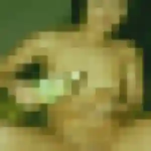 Maeva de Sanary-sur-Mer, 33 ans - plan cul sans lendemain