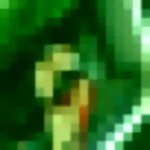 Naila (29 ans) à Sanary-sur-Mer propose une rencontre ce soir