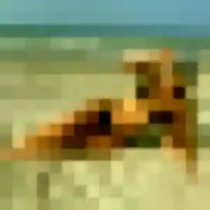 Photo exclusive de Soraya, 21 ans à Sanary-sur-Mer - rencontre coquine