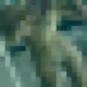 Armelle, fille de 31 ans propose plan cul à Sanguinet