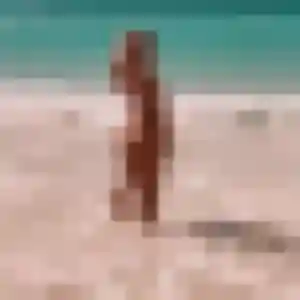 Capucine, 29 ans, dispo pour plan cul à Savigné-sur-Lathan