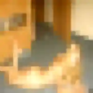 Mila, 31 ans, en ligne à Savigny-en-Septaine pour une rencontre coquine