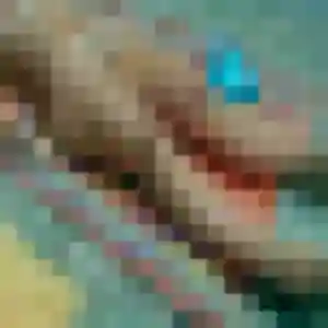 Photo privée de Charlene, 34 ans à Senarpont - rencontre coquine