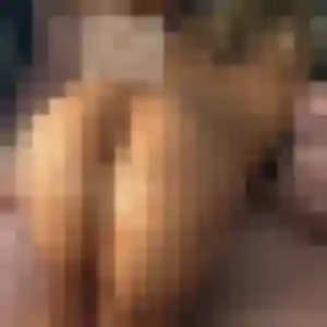 Margot, 34 ans, disponible à Séné pour une rencontre coquine