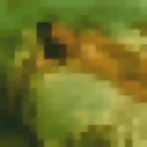 Photo de Oceane à Sillingy (27 ans) - plan cul anonyme