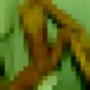 Lisa (27 ans) à Siouville-Hague cherche une rencontre ce soir