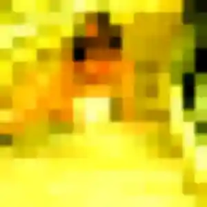 Constance de Sixt-sur-Aff, 19 ans - plan cul discret