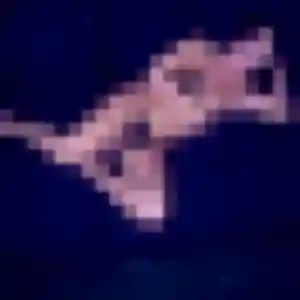 Photo privée de Elia, 31 ans à Soissons - plan discret