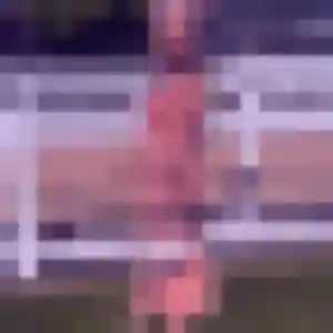 Photo de Marine à Soufflenheim (31 ans) - plan cul sans inscription