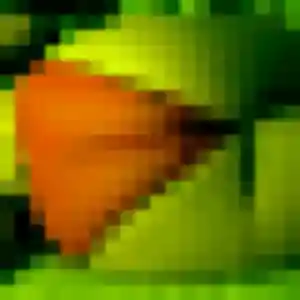 Contacte Elisa, 27 ans à Spicheren en privé