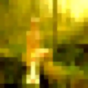 Profil de Perrine à Spicheren (23 ans) - plan cul anonyme