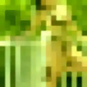 Stella, fille de 24 ans cherche plan cul à Strasbourg