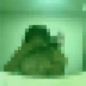 Lina, fille de 27 ans cherche plan cul à Tacoignières