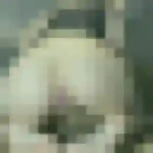 Photo sexy de Anissa, 34 ans à Tancarville - rencontre coquine