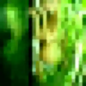 Photo exclusive de Mathilde, 34 ans à Tarabel - rencontre coquine