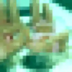 Rencontre Roxane, 21 ans à Tarare en t'inscrivant