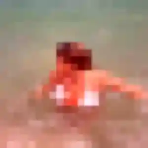 plan cul à Teillay : profil de Clemence, 34 ans - inscription gratuite