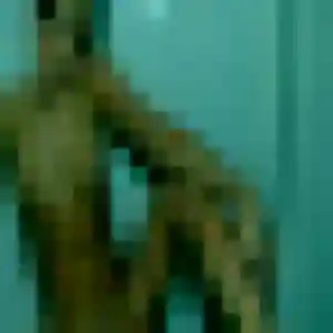 Photo privée de Axelle, 20 ans à Templemars - rencontre coquine