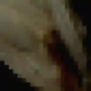Rejoins Amandine, 28 ans à Terres de Druance en privé