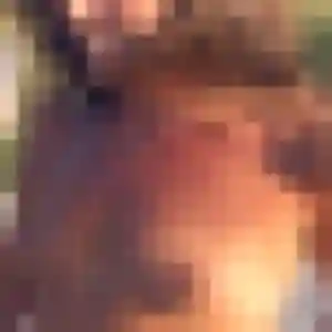 Profil de Ilana à Tilloy-lez-Cambrai (25 ans) - plan cul gratuit