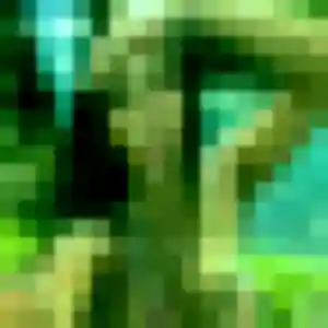 Photo privée de Elina, 32 ans à Torcé-Viviers-en-Charnie - rencontre sans lendemain